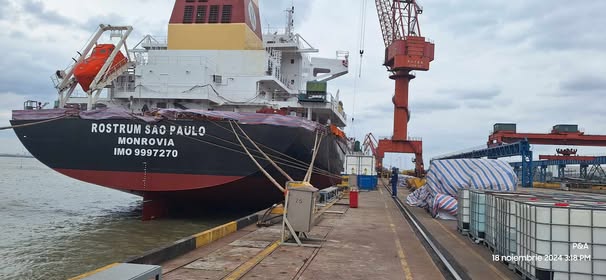 Alfa Ship & Crew Management GmbH | Hamburg