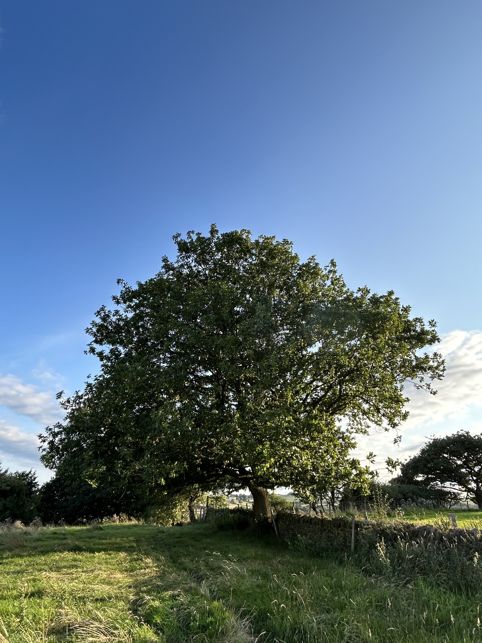 Wild - Take a stroll across our fields. Breathe in the fresh air ...