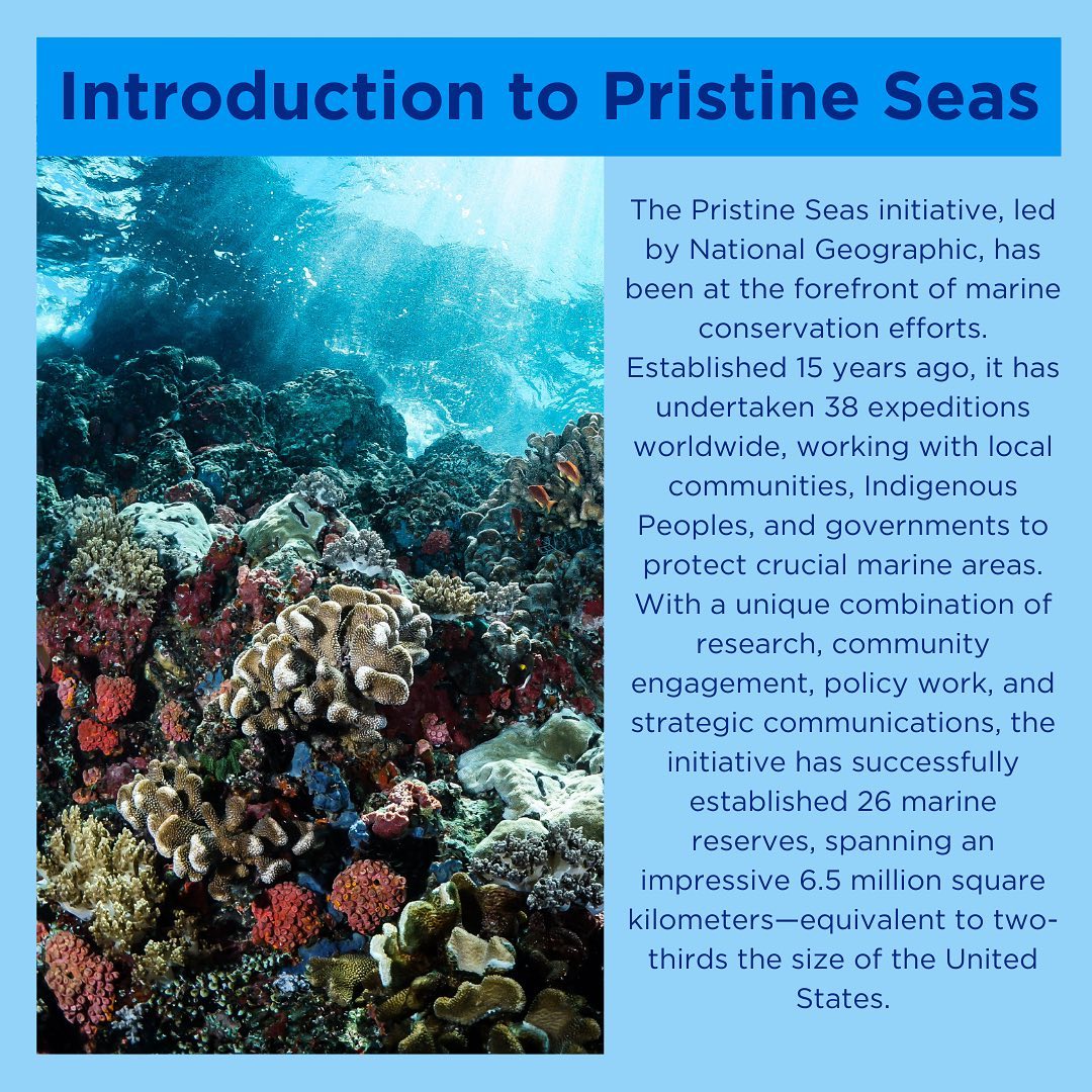 All One Ocean - We wanted to highlight a cool new...