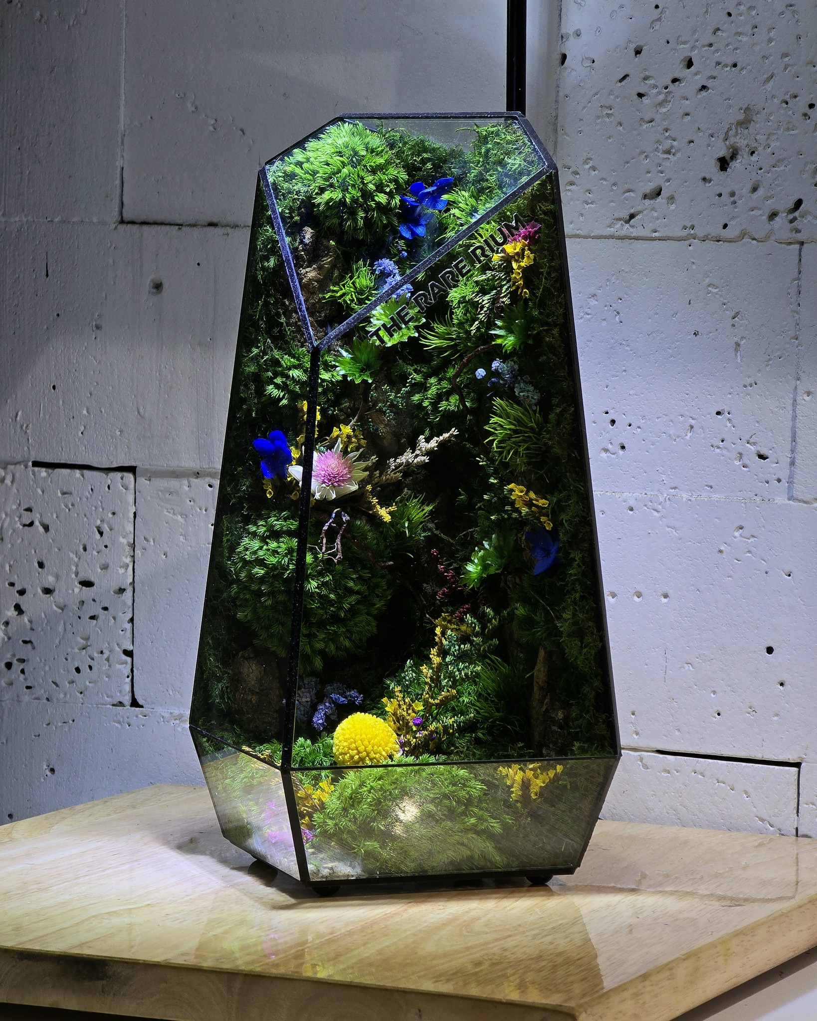 The Rare Rium - Plant &... - The Rare Rium - Plant & Moss Art