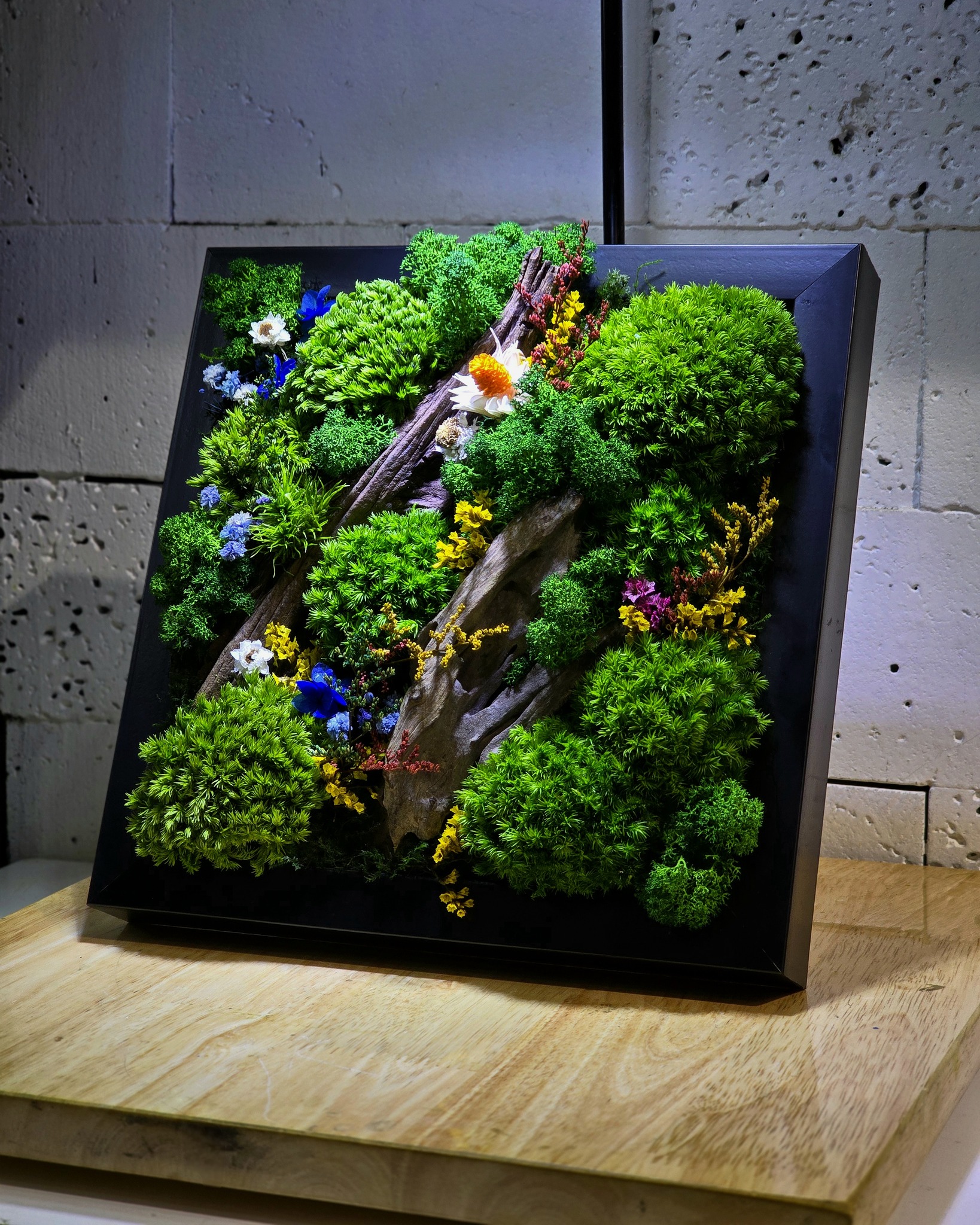 The Rare Rium - Plant &... - The Rare Rium - Plant & Moss Art