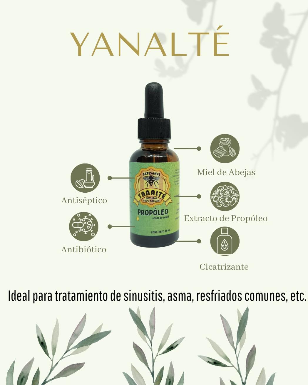 Yanalté - ¡Propóleo! Gotas de salud 👩🏻‍⚕️ *Cuenta con... | Facebook