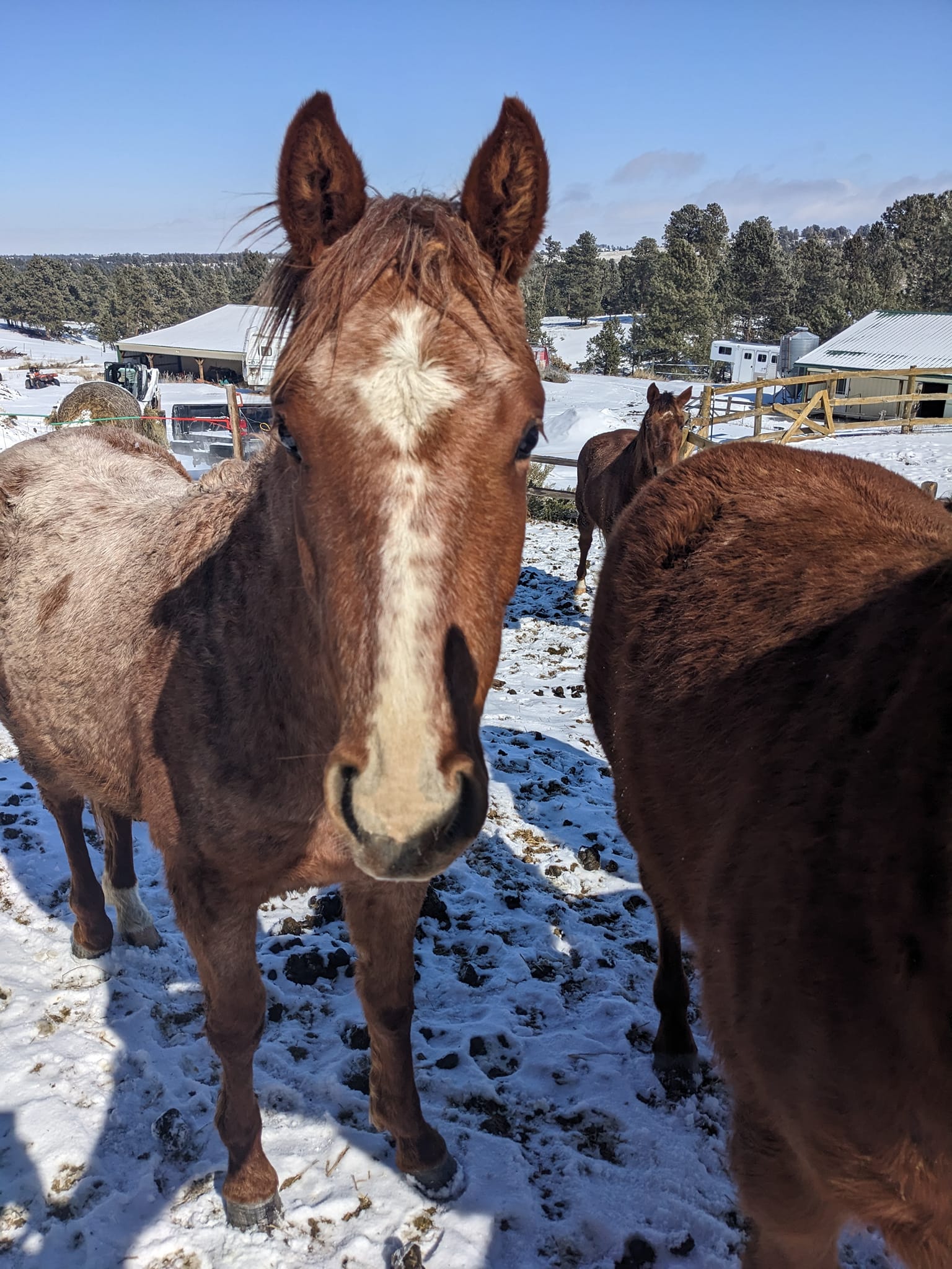 Rockin Redden Ranch | Crawford NE