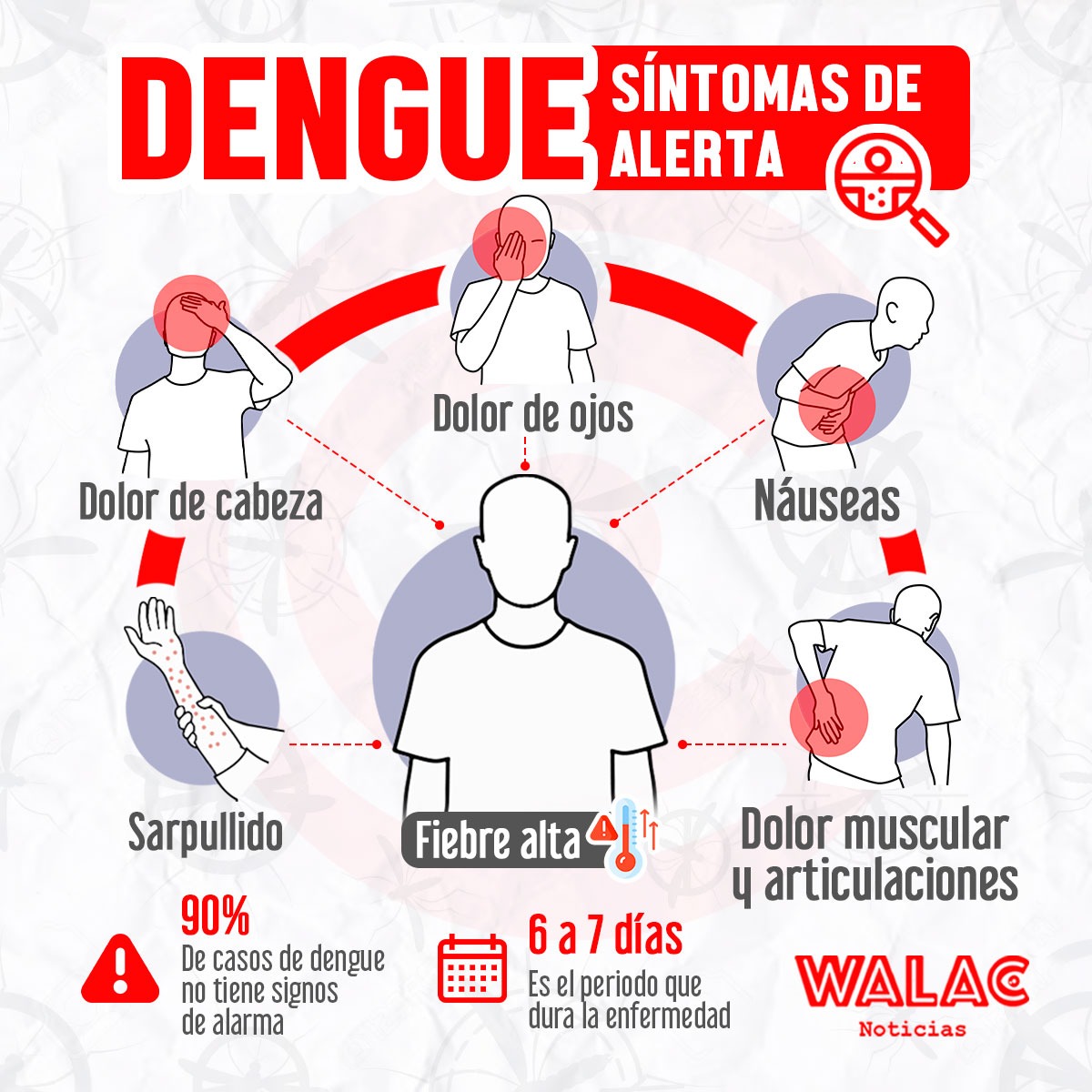 Walac - [EMERGENCIA POR DENGUE] El dengue se transmite a través de la ...