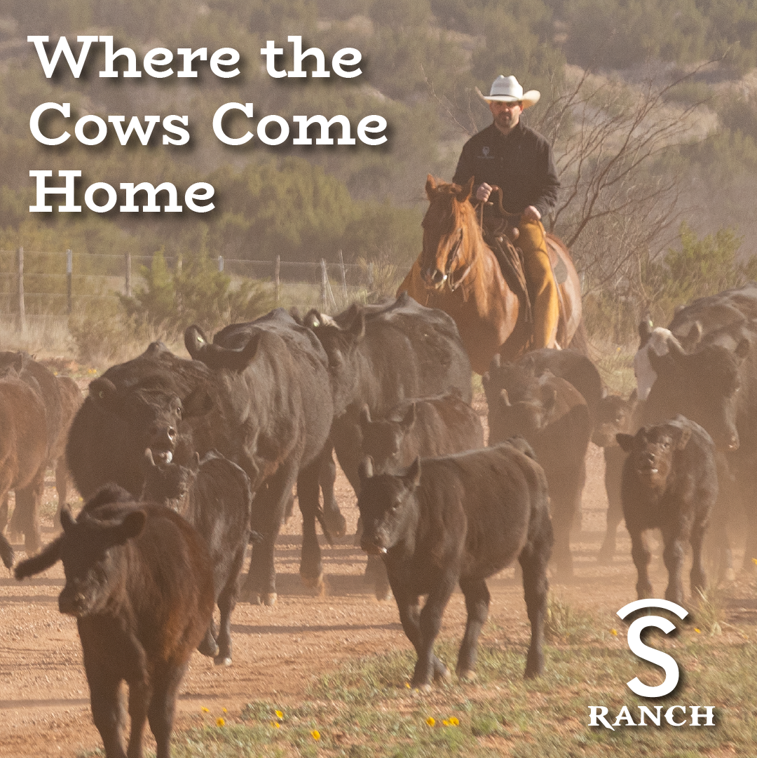 Covered S Ranch - Home