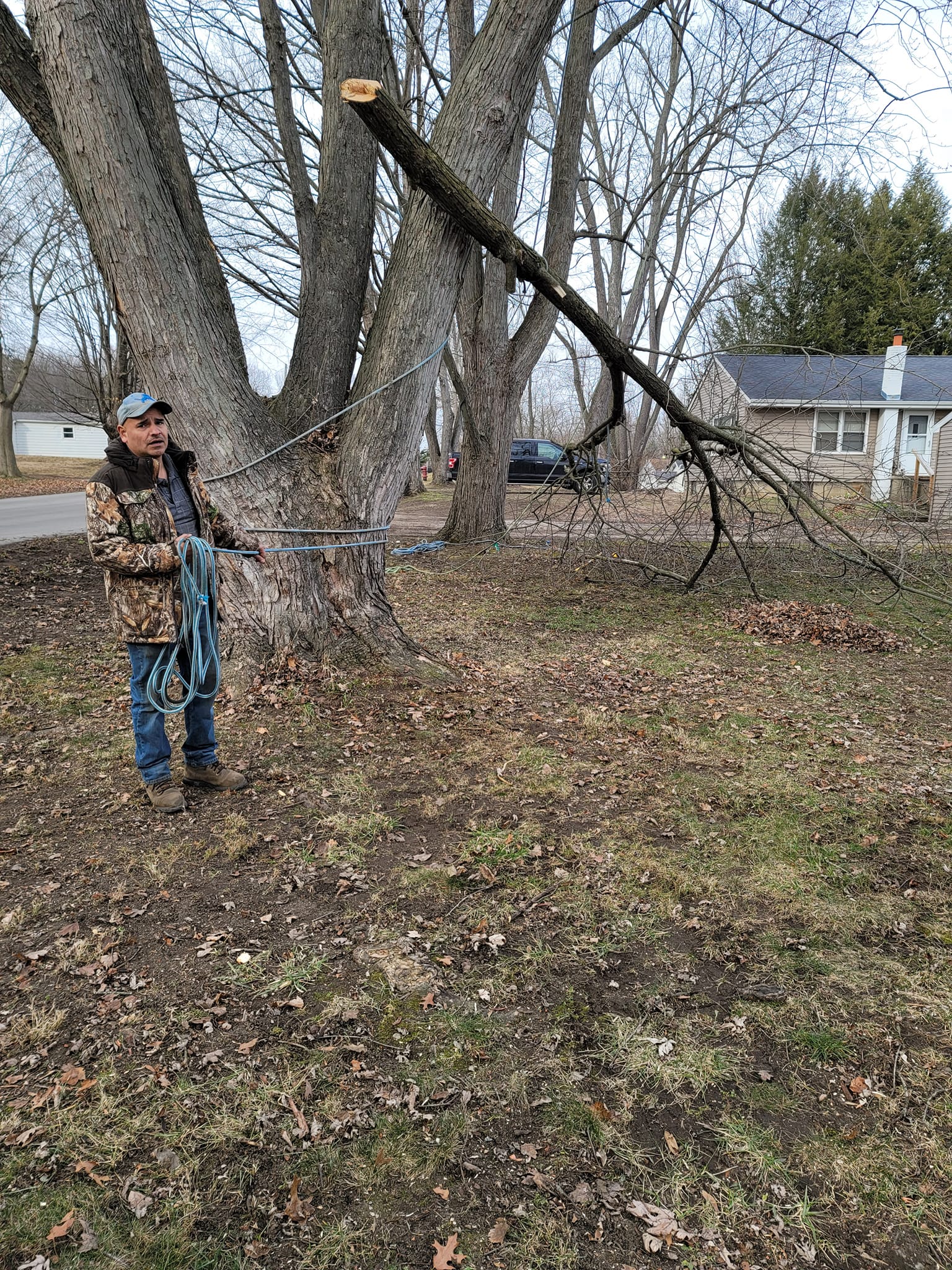 L&D Out On a limb Tree Removal