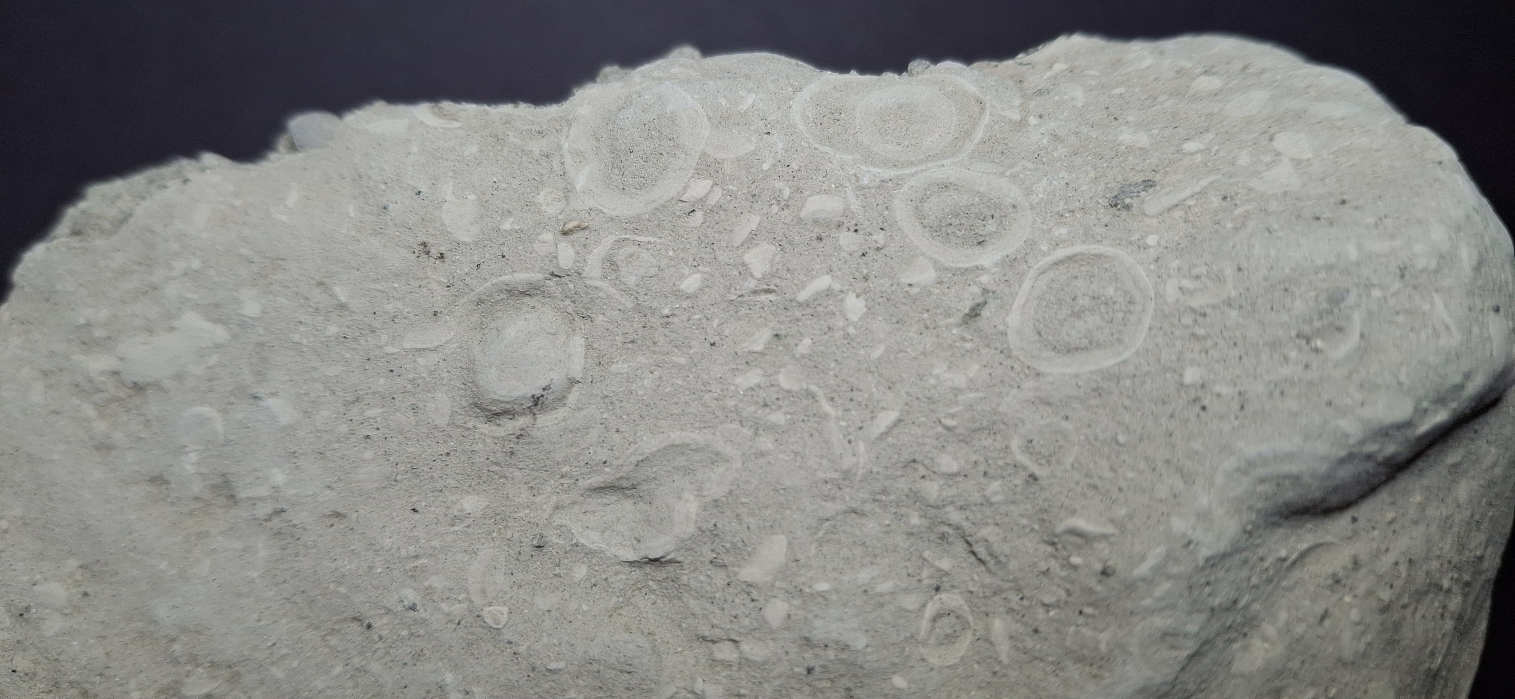 GeoPics - A close up view of the Tuff sample, notice that there are a ...