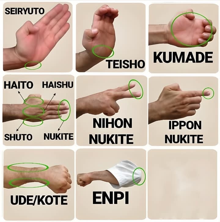 Martial - The various hand striking techniques used in traditional ...