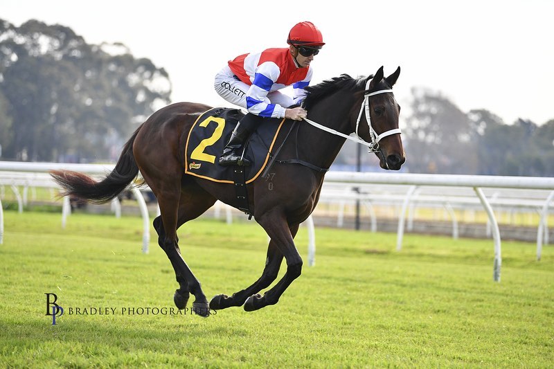 ‘What’s In A Name Wednesday…..’... - Chris Waller Racing | Facebook