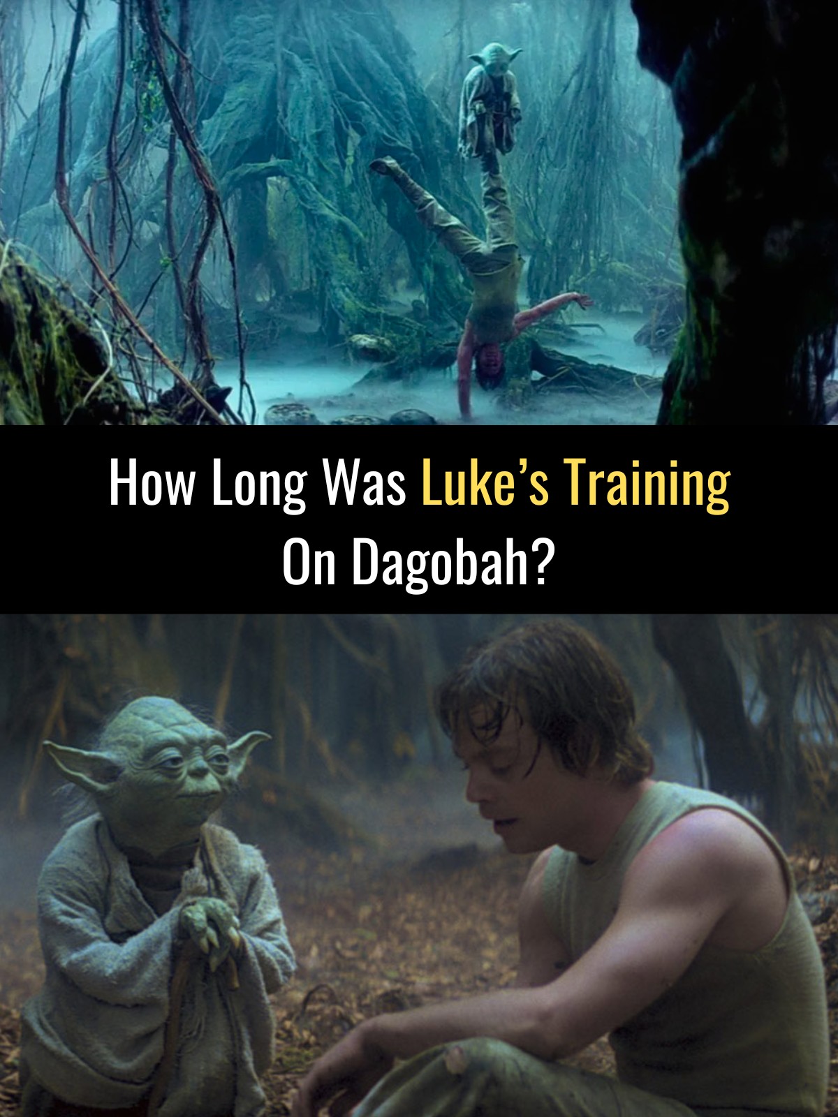 Star Wars & Beyond - In the movie, Luke’s time on Dagobah appears to ...