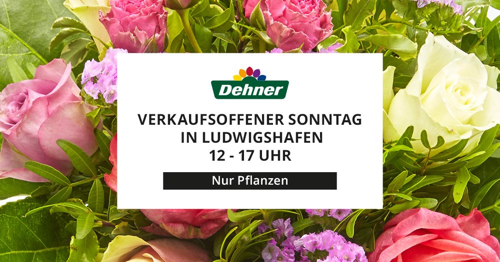 Verkaufsoffener Sonntag Dehner Garten-Center in Ludwigshafen