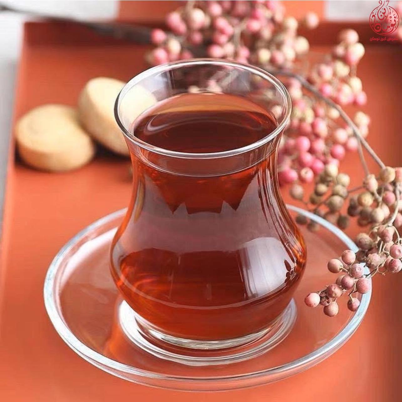 معرض ابن نومان | Tafila