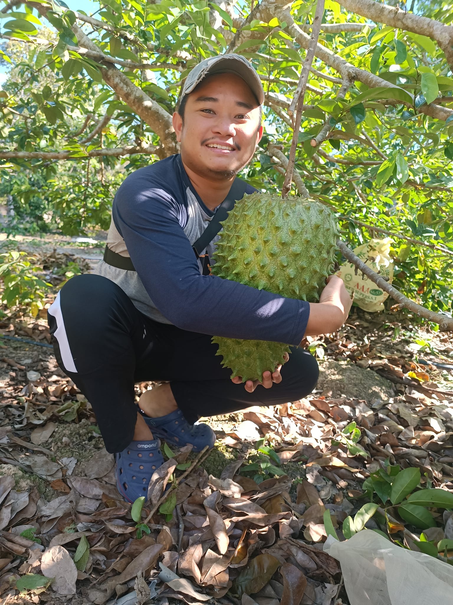 Bekebun Tepi Rumah Sendiri | 𝗔𝗟𝗛𝗔𝗠𝗗𝗨𝗟𝗜𝗟𝗟𝗔𝗛 🤲🏻 𝗗𝗔𝗣𝗔𝗧 𝗠𝗘𝗥𝗔𝗦𝗔 𝗣𝗘𝗟𝗢𝗞 𝗕𝗔𝗕𝗬 𝗞 ...
