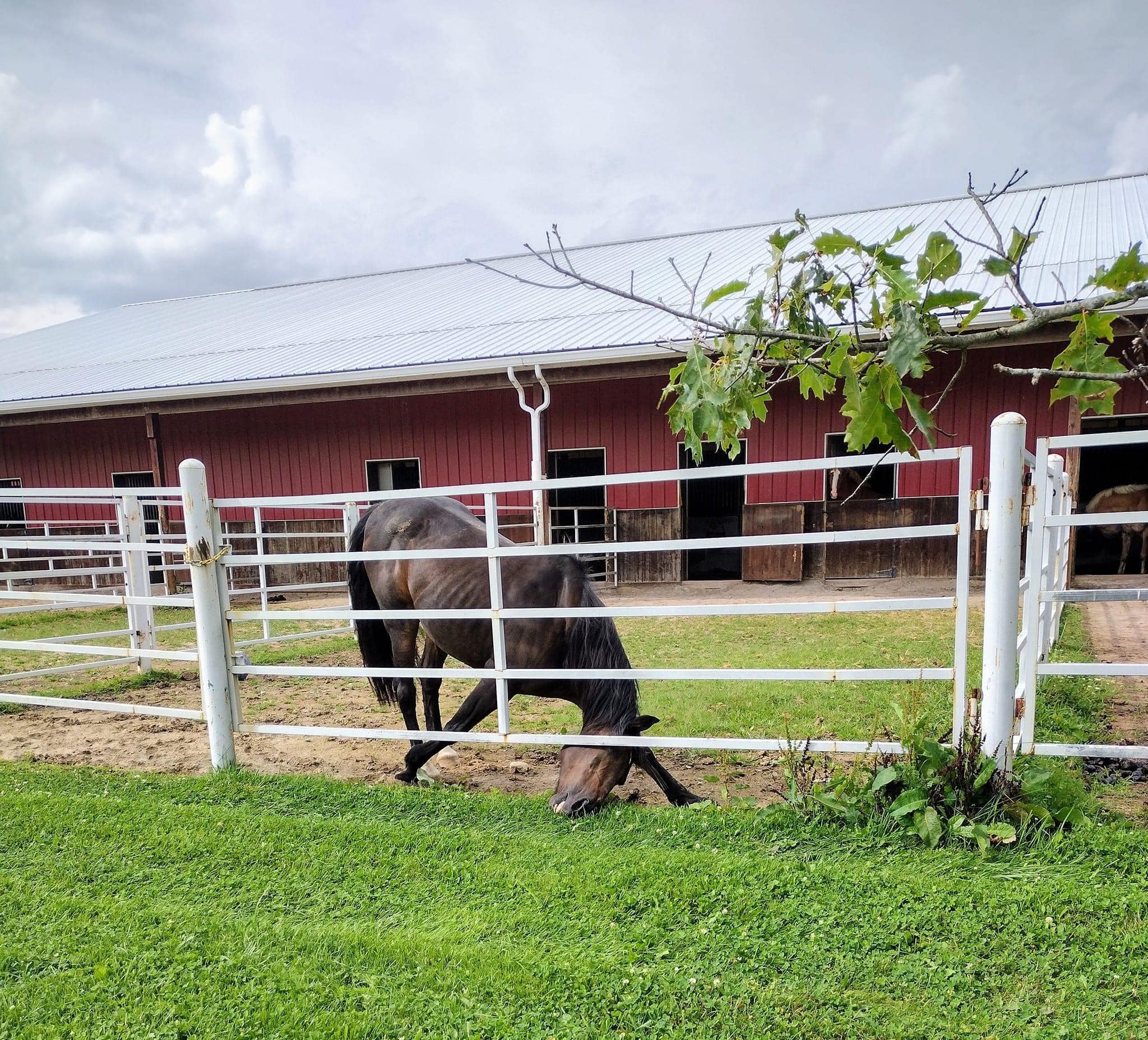 Masterfare Equestrian Center | Johnstown OH