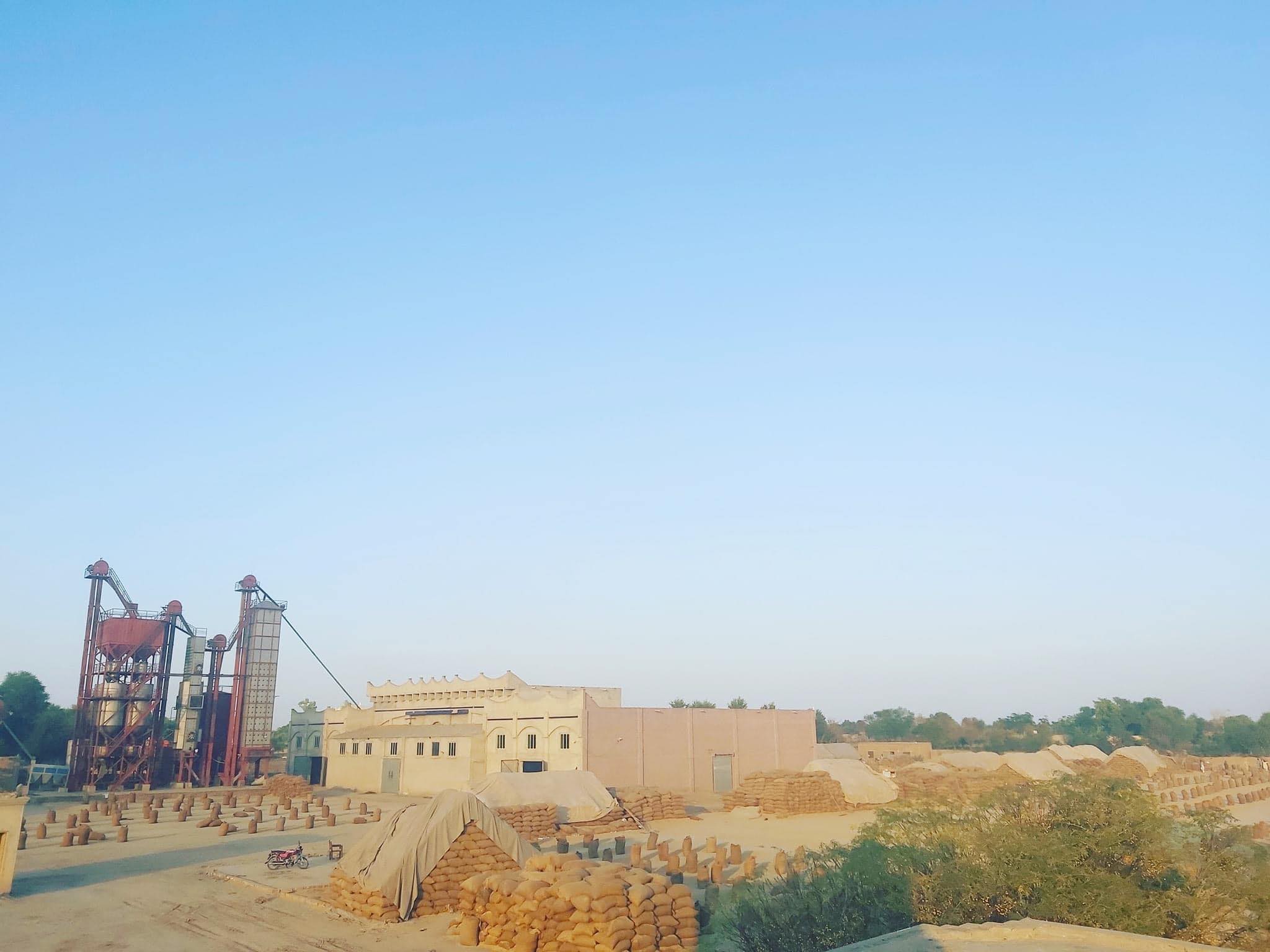 Ali Rice Mills