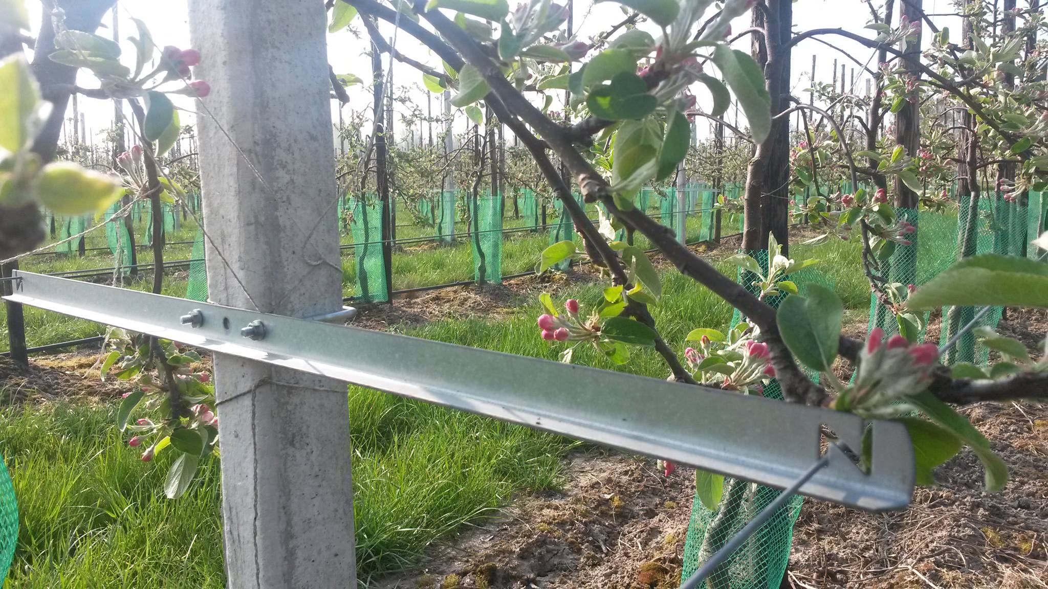 Fruit Support Europe | Opheusden