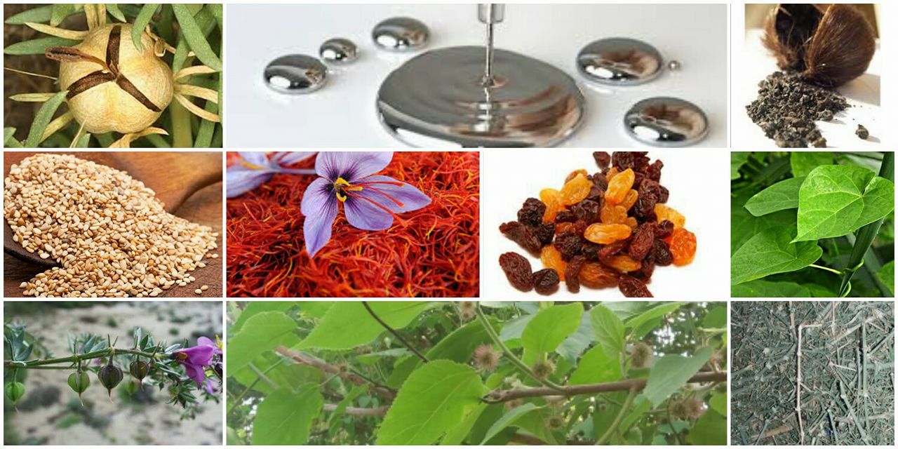 کتب خانہ طبیب - امتناعات ہومیو پیتھی :- ڈاونلوڈ لنک :-... | Facebook