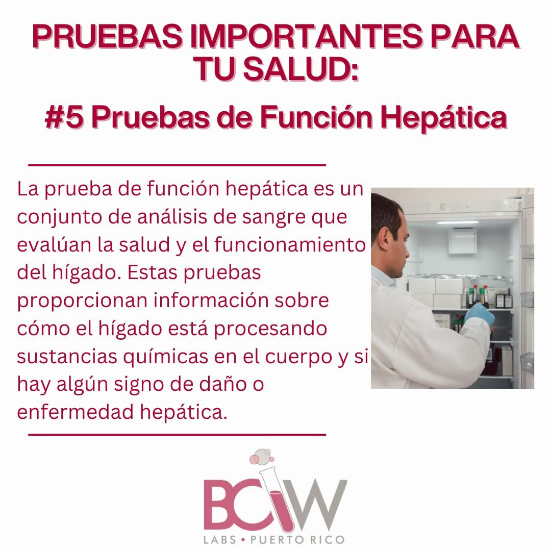BCW Puerto Rico | Catano