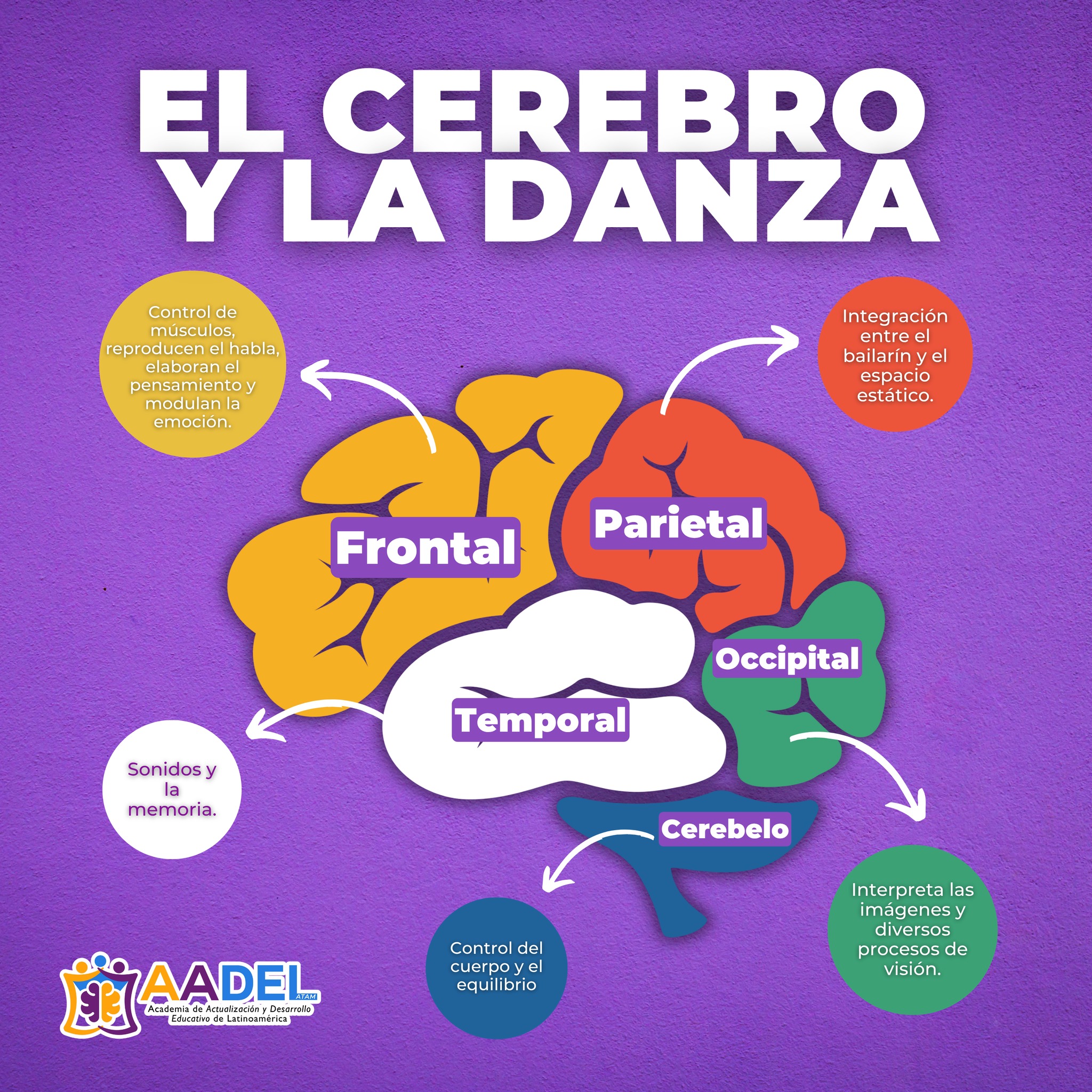 AADEL - Academia de Actualización y Desarrollo Educativo de ...