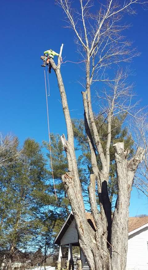 Top Notch Tree Care & Wood Products | Canton NC