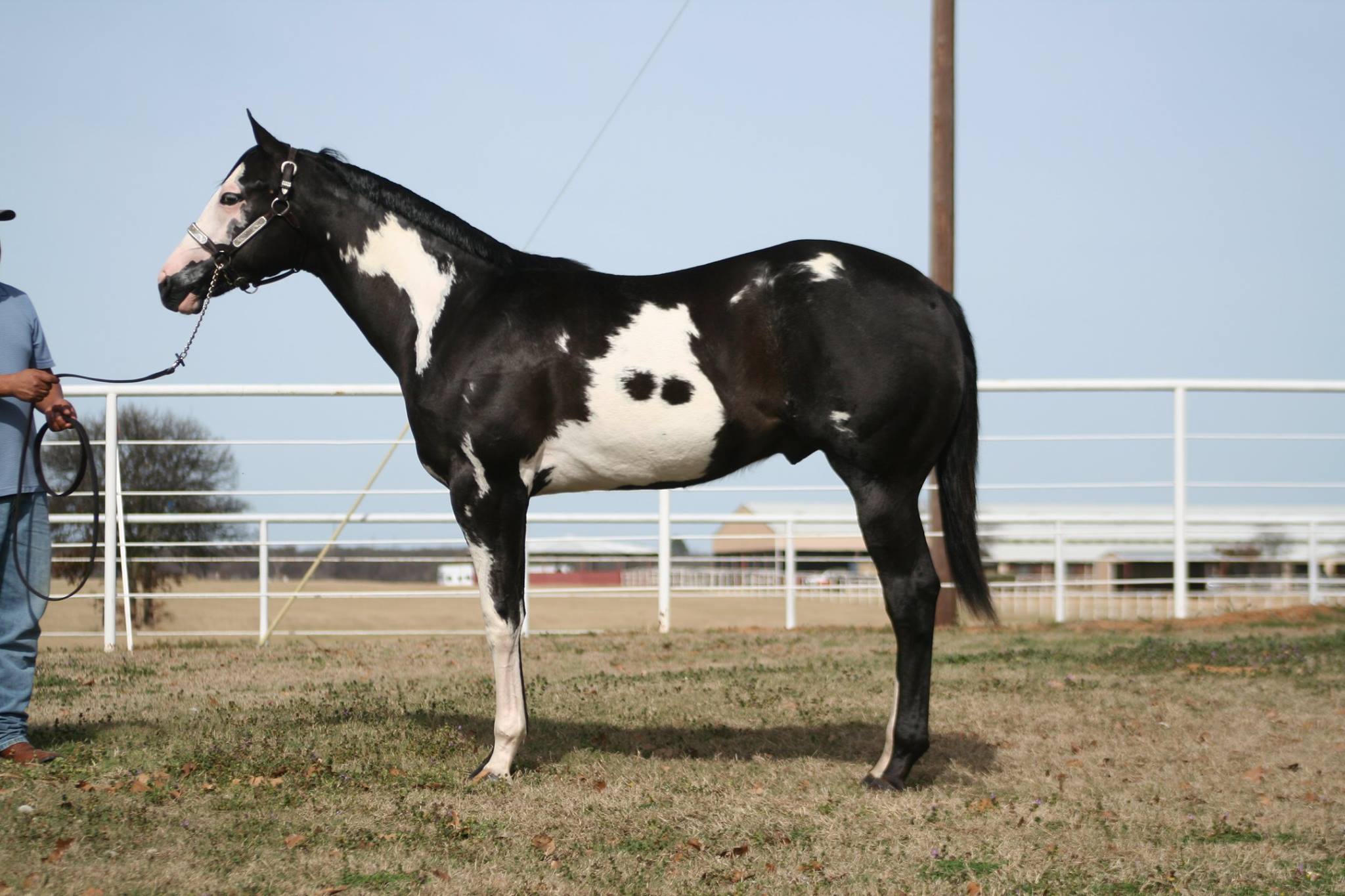 Tabor Ranch | Aubrey TX