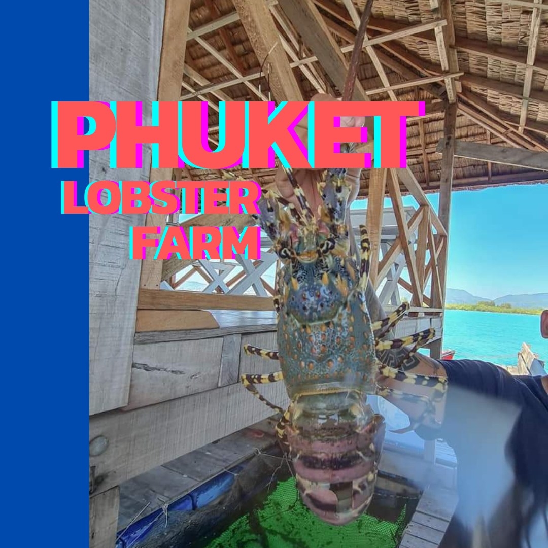 กระชังปลาภูเก็ต Phuket fish farm | Phuket