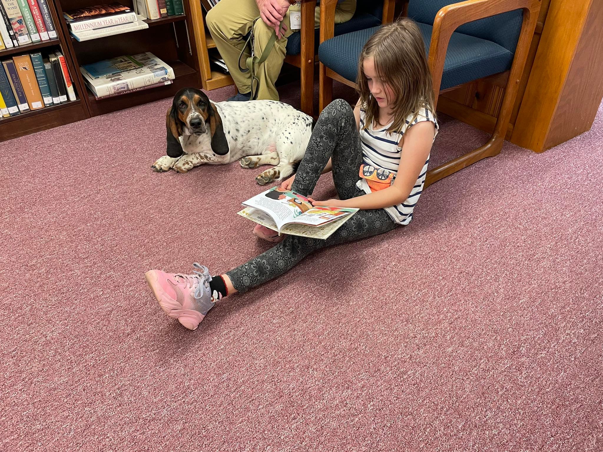 Margaret Shontz Memorial Library | Conneaut Lake PA