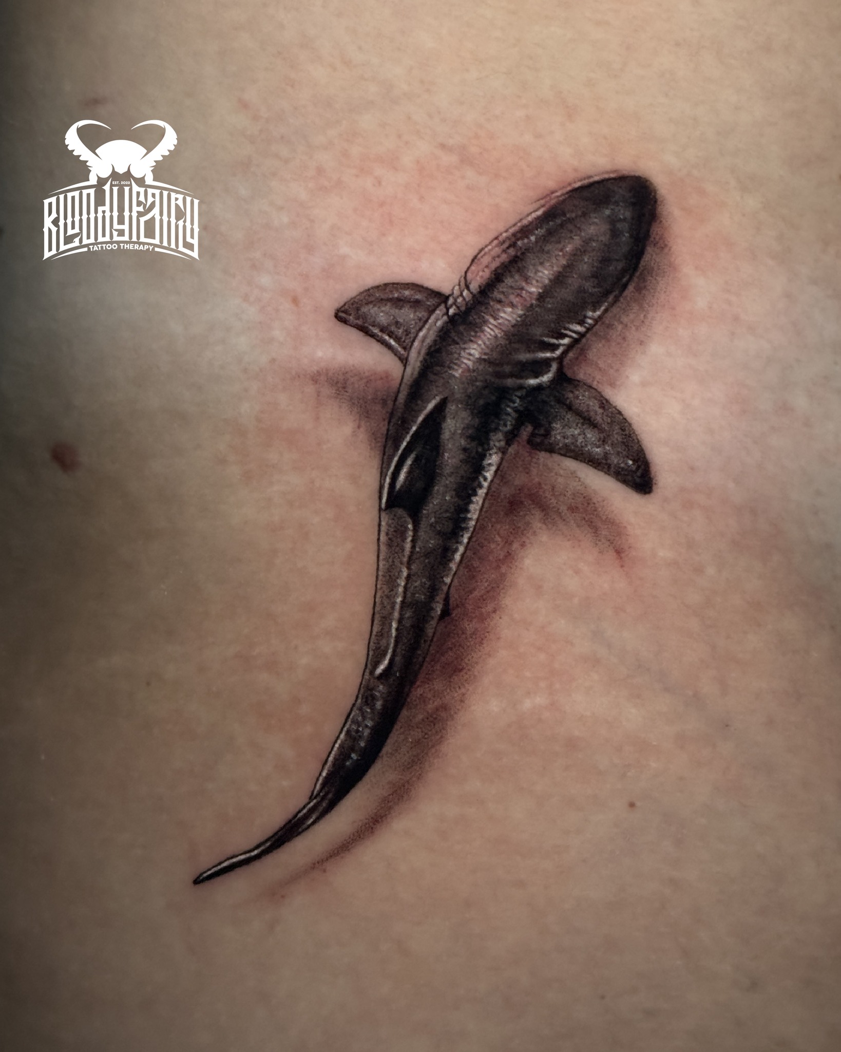 The shark, a symbol of strength and ultimate dominance!🦈 A 3D