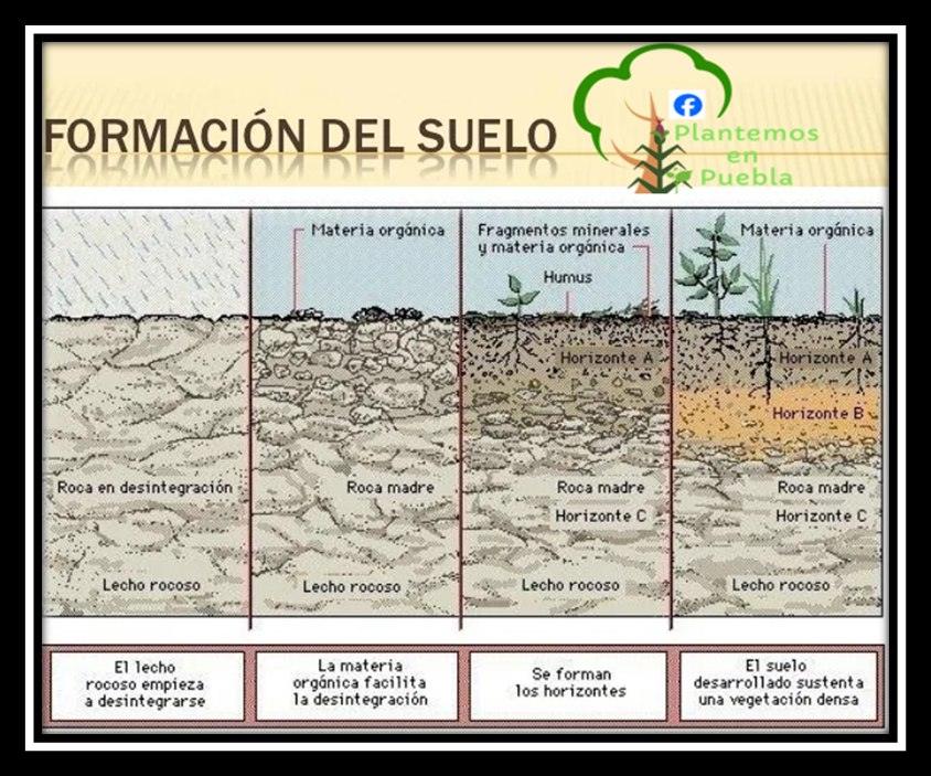 Plantemos en Puebla - Origen y formación de los suelos https://fb.watch ...