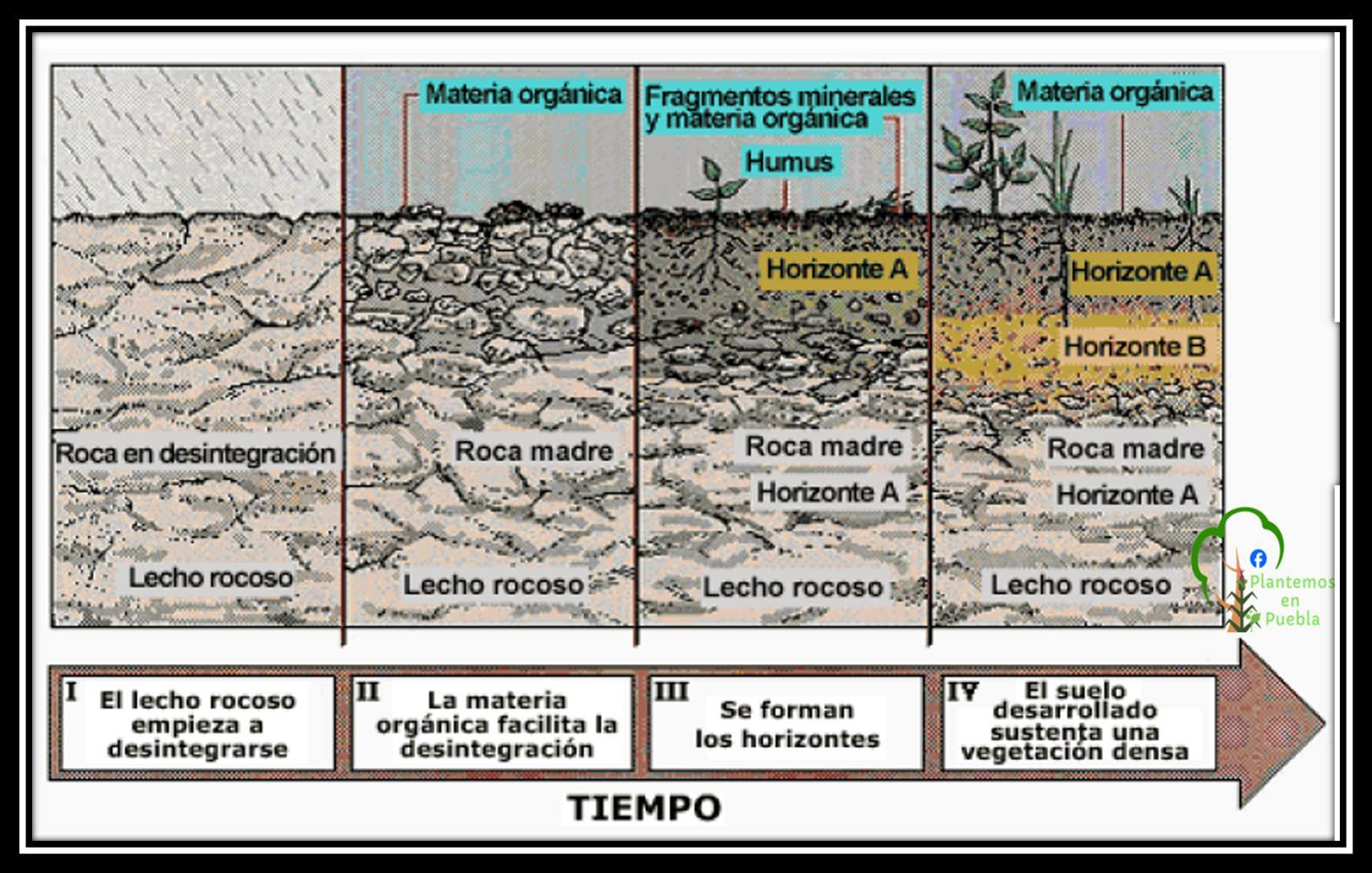 Plantemos en Puebla - Origen y formación de los suelos https://fb.watch ...