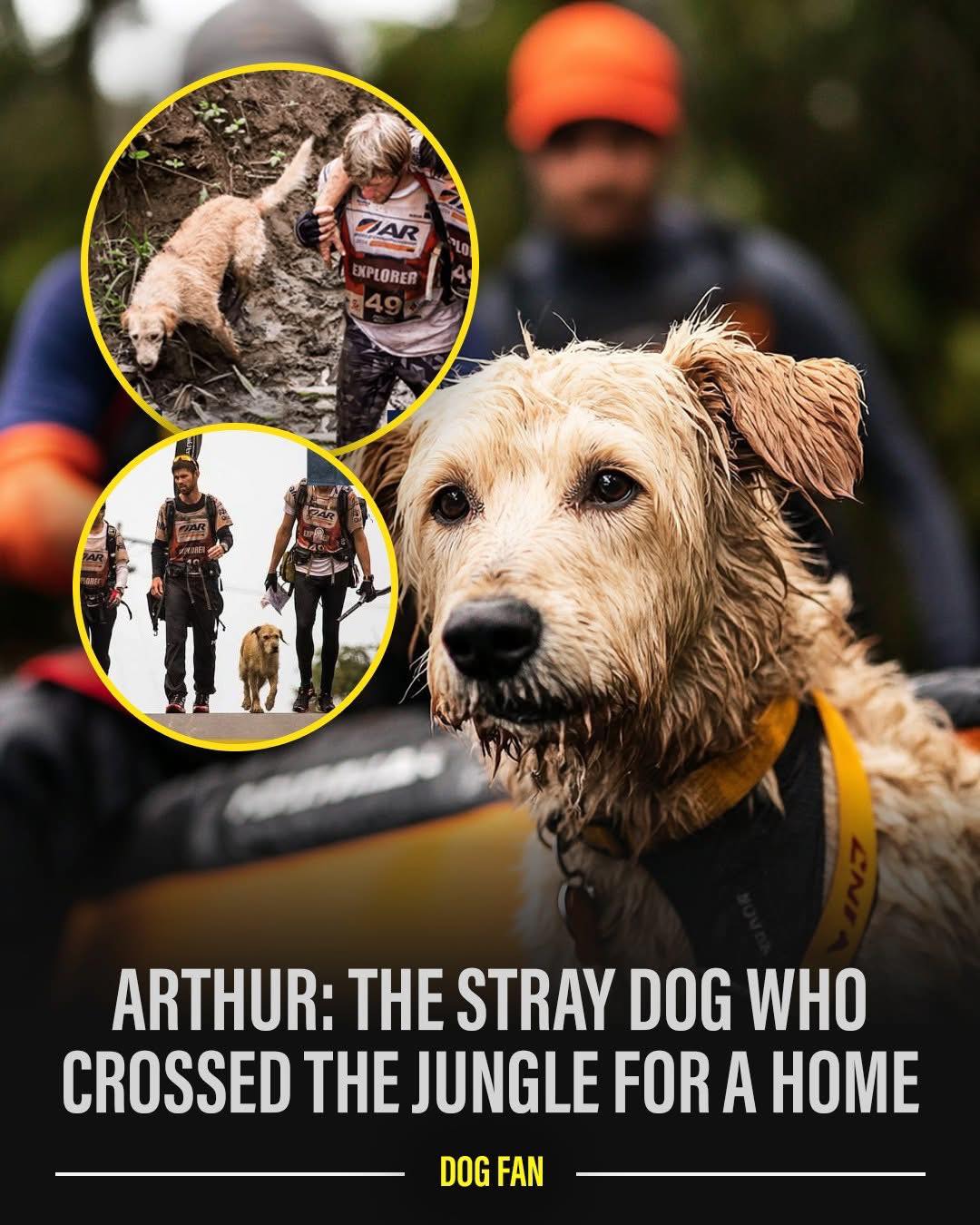 Arthur the King' tells the true story of Mikael Lindnord, an