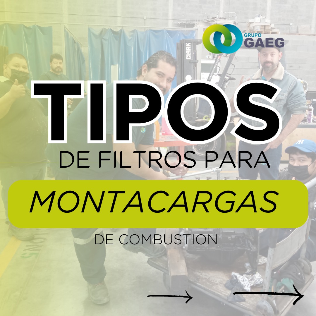GRUPO GAEG - Sabes de que está compuesto tu equipo de... | Facebook