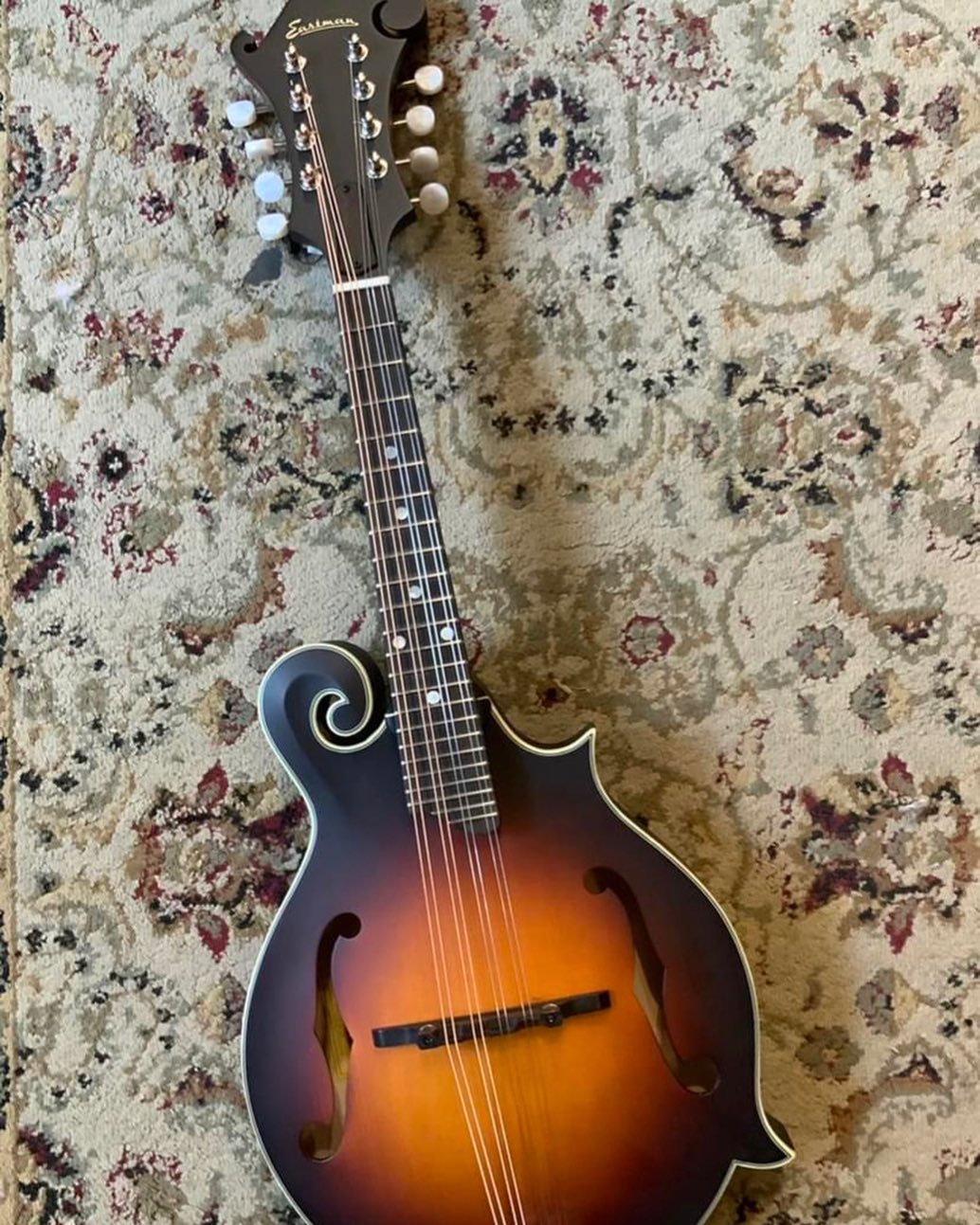 Schertler Dyn-M or K&K Twin for mandolin?
