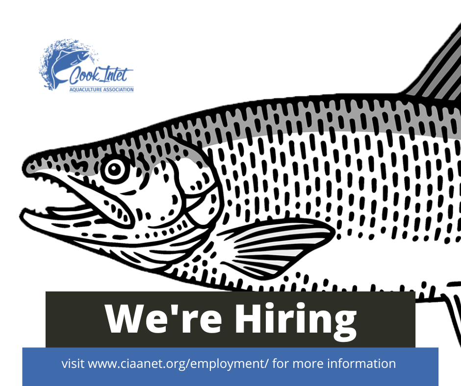 Cook Inlet Aquaculture Association - WE'RE HIRING! We have a number of ...