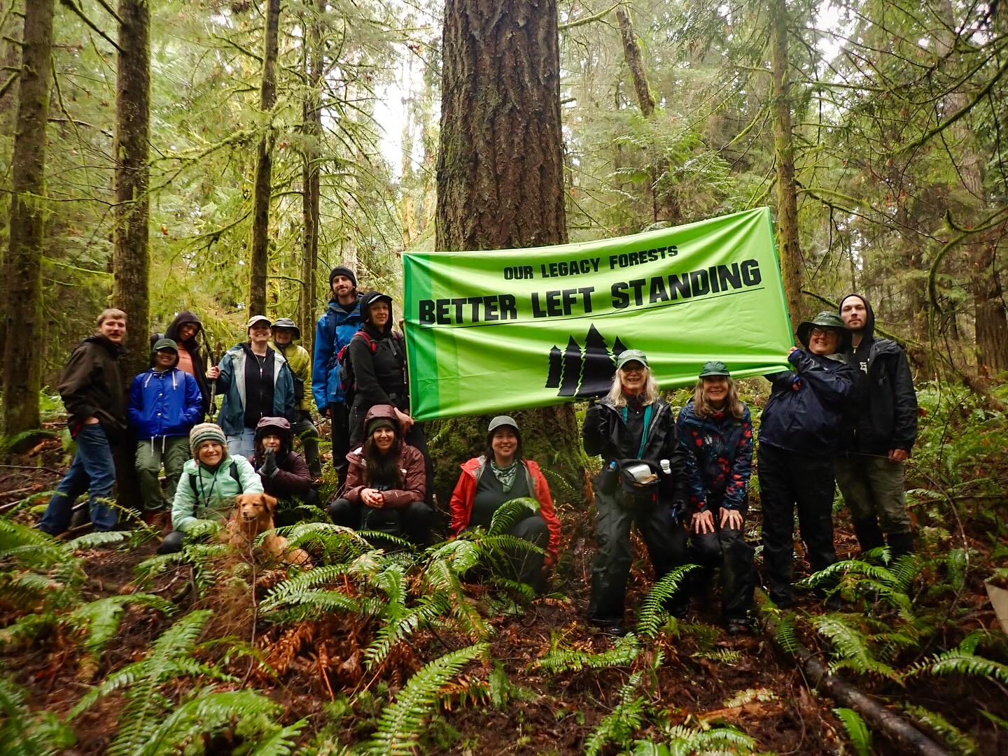 Legacy Forest Defense Coalition