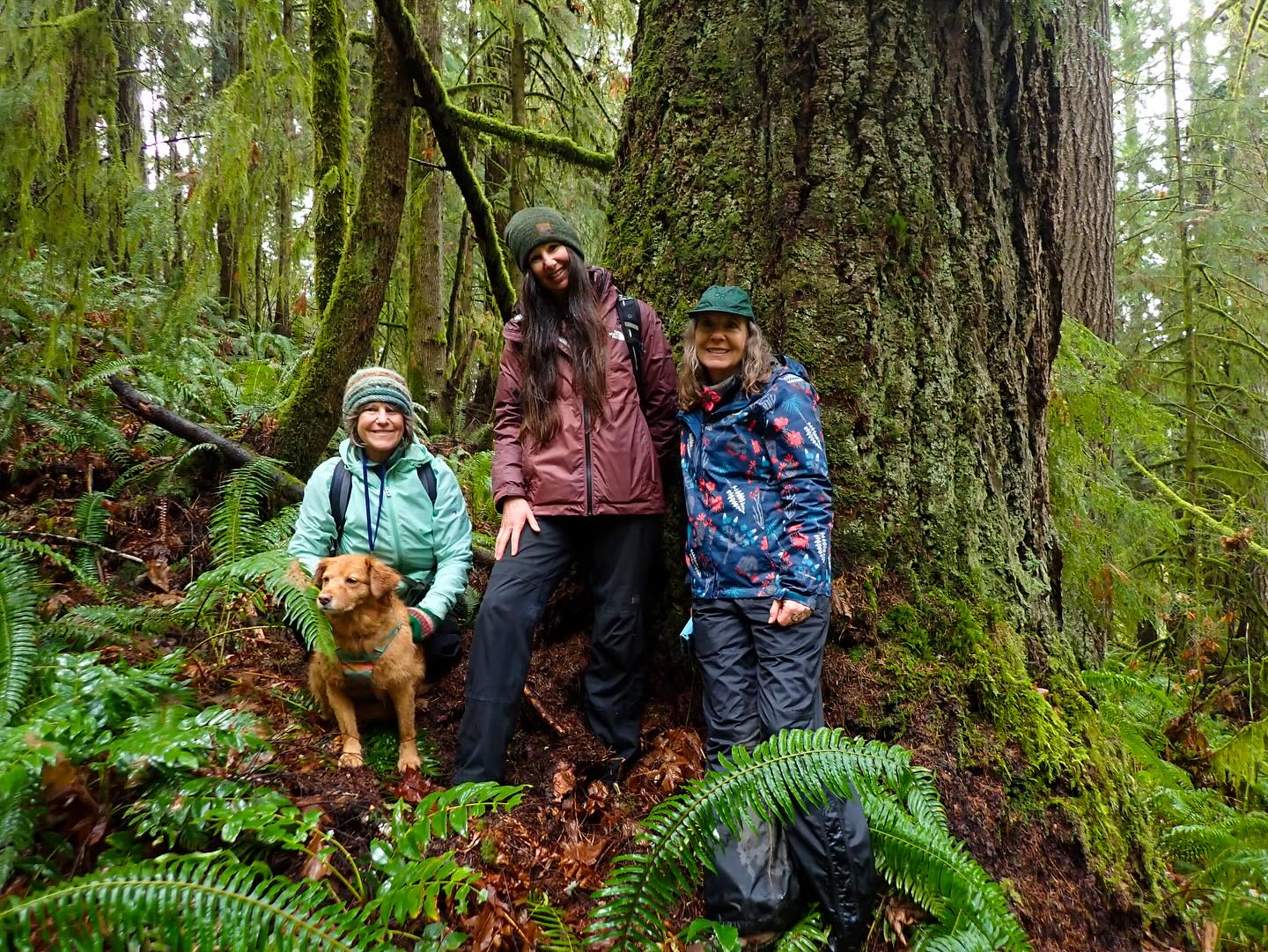 Legacy Forest Defense Coalition