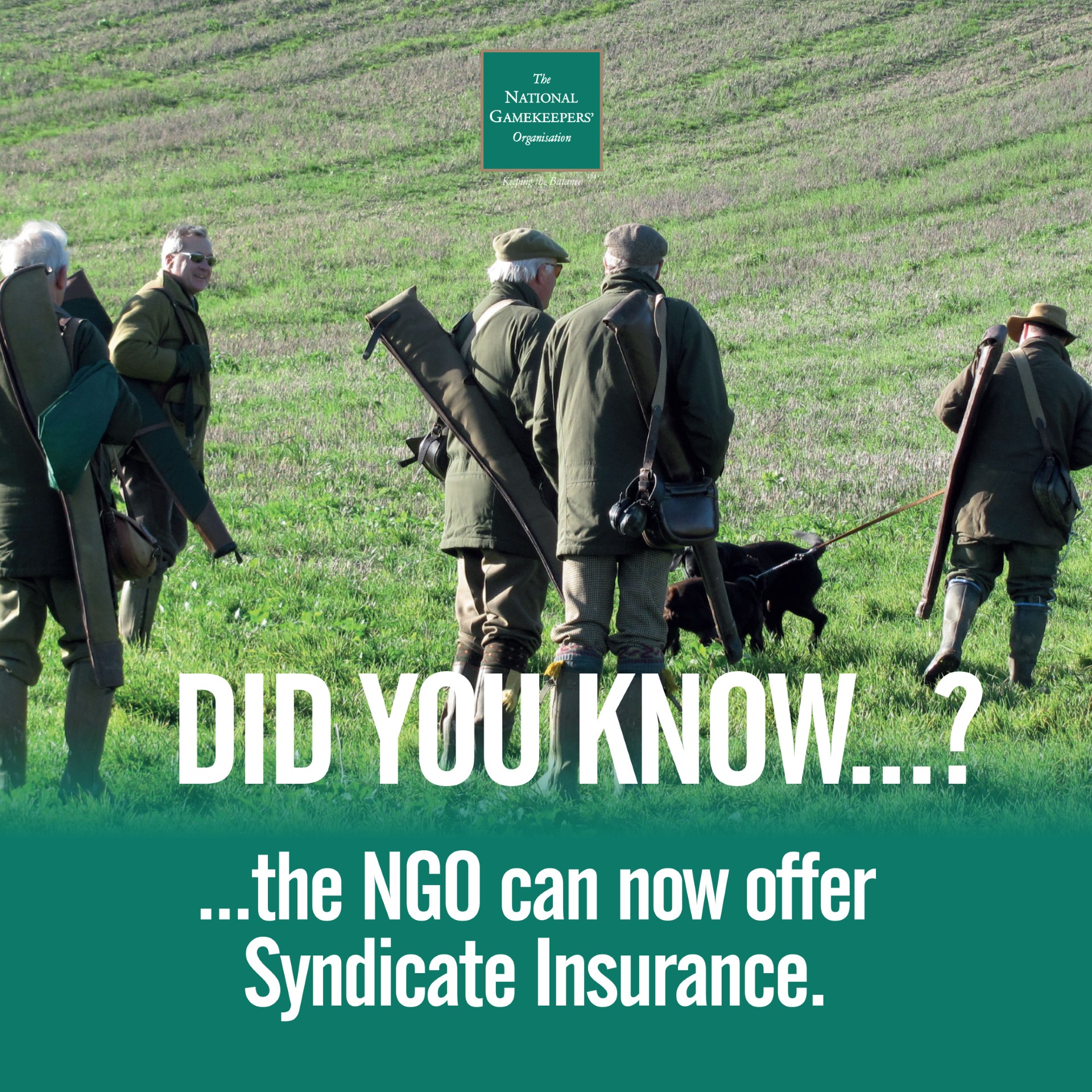 The National - The NGO’s Syndicate Insurance costs just £55 per person ...