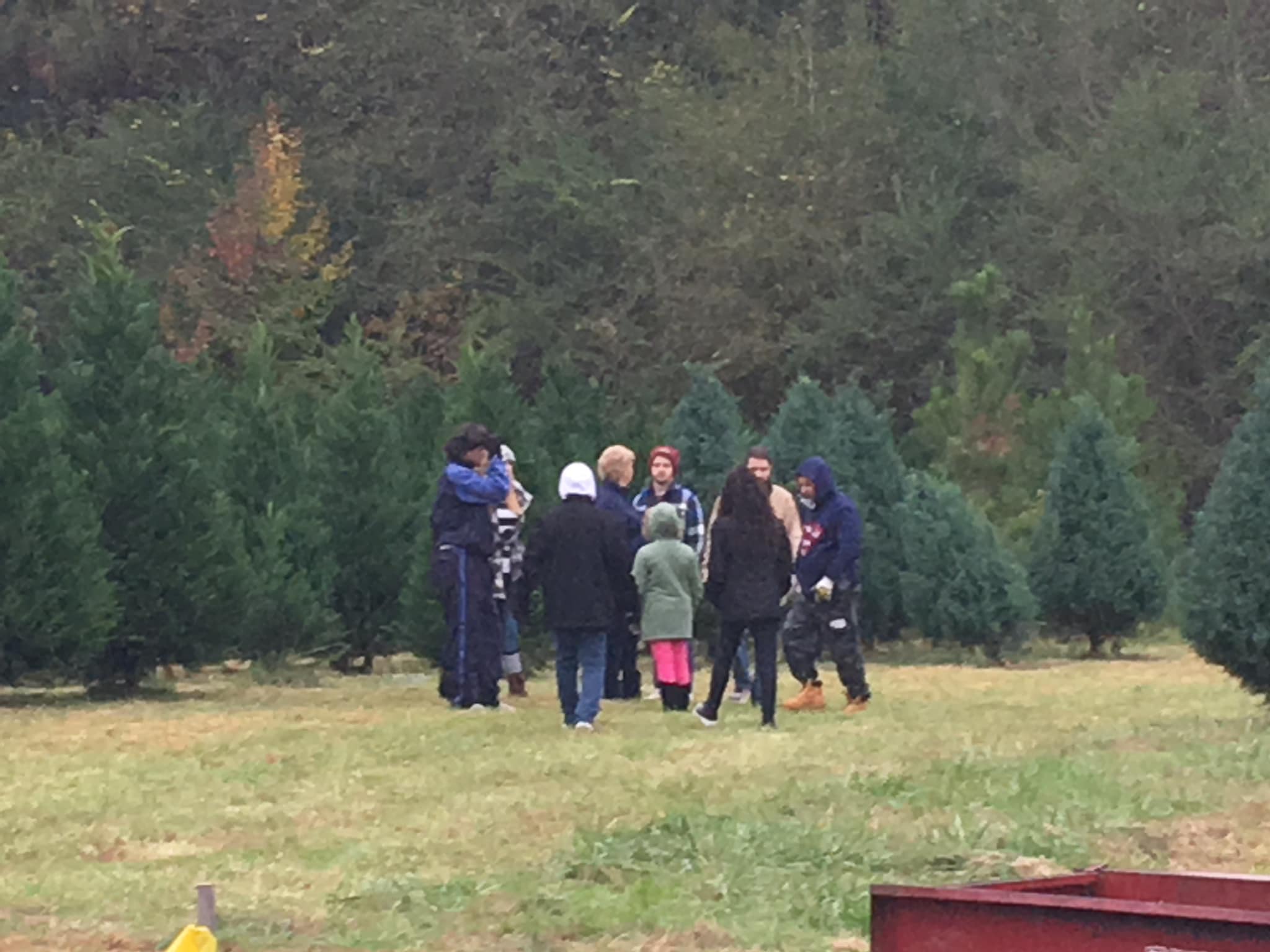 Trees Of Joy Christmas Tree Farm | Jackson GA