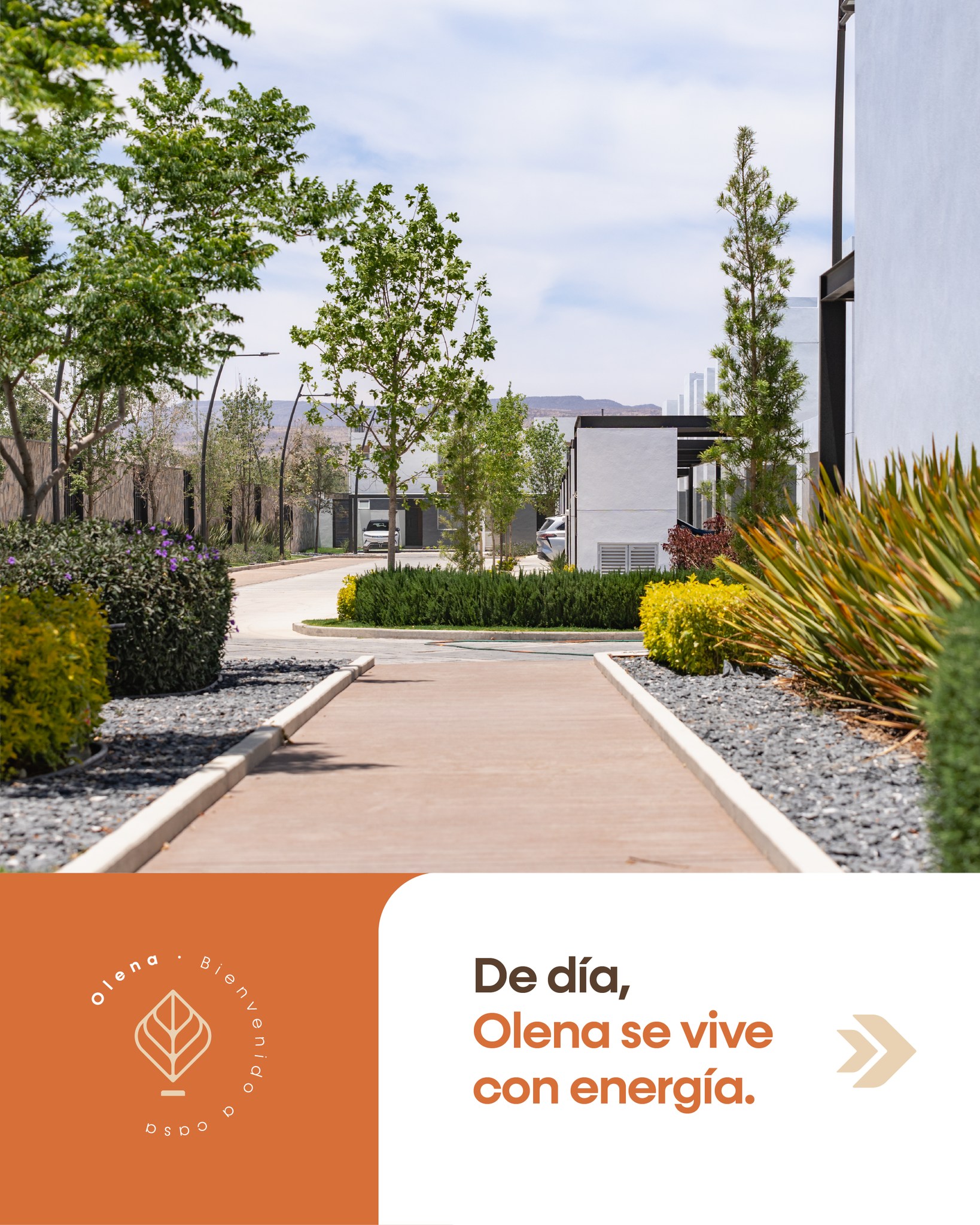 Olena Gran Vivir | Aguascalientes