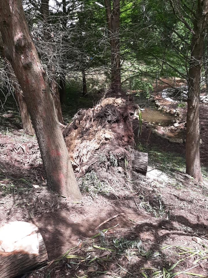 Top Notch Tree & Landscape | Knox County OH
