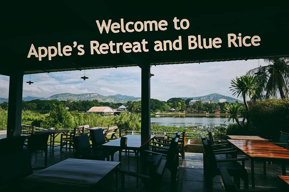Blue Rice Restaurant - Home | Facebook