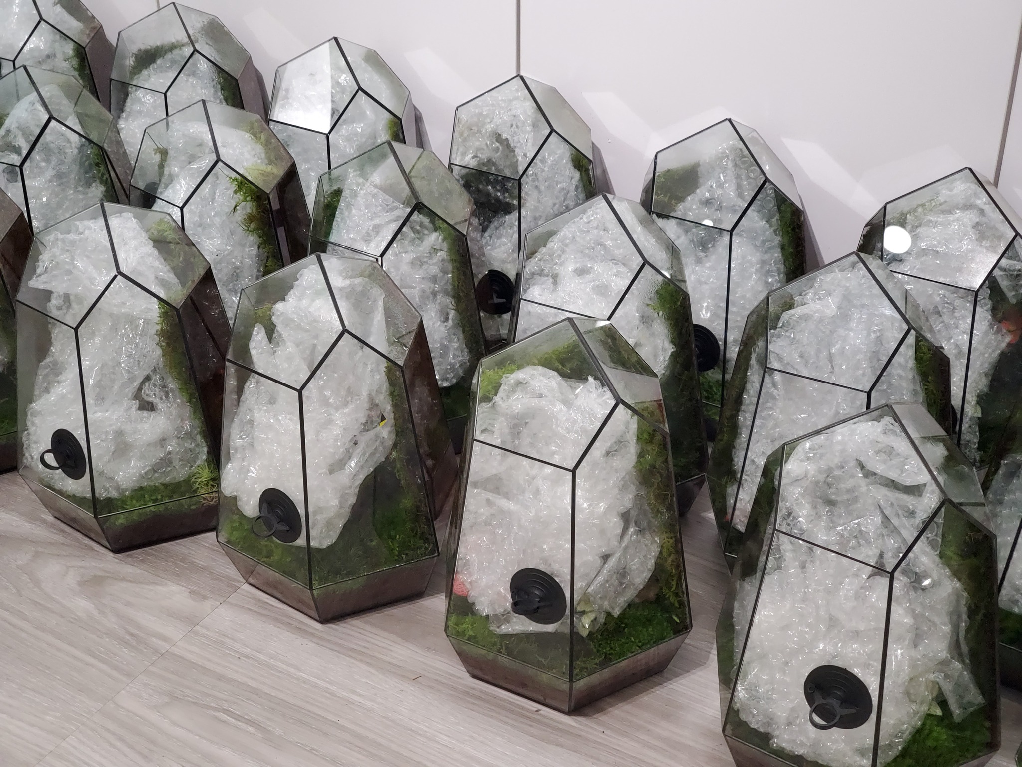 The Rare Rium - Plant &... - The Rare Rium - Plant & Moss Art