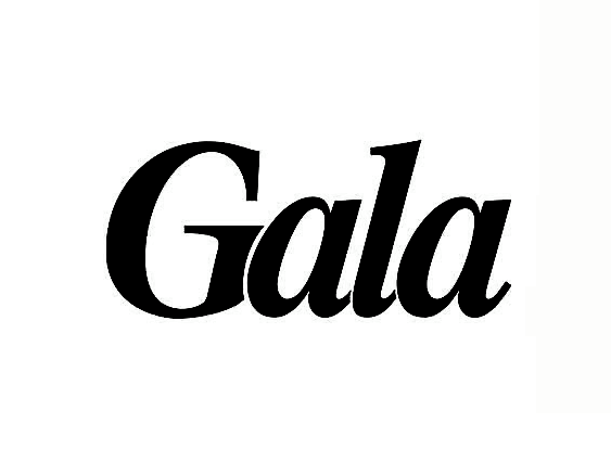 gala-mort-de-catherine-ringer-la-chanteuse-des-rita-facebook