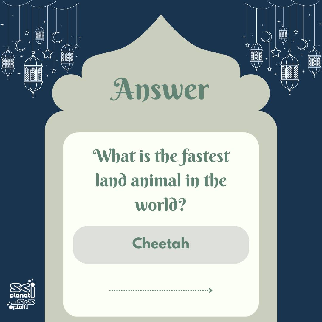 The answer is... - SCIplanet Magazine - مجلة كوكب العلم