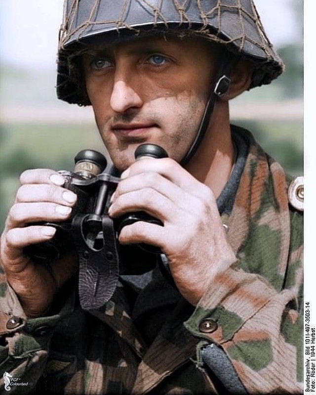 Colors - Operation Market Garden A German soldier of the Luftwaffe ...