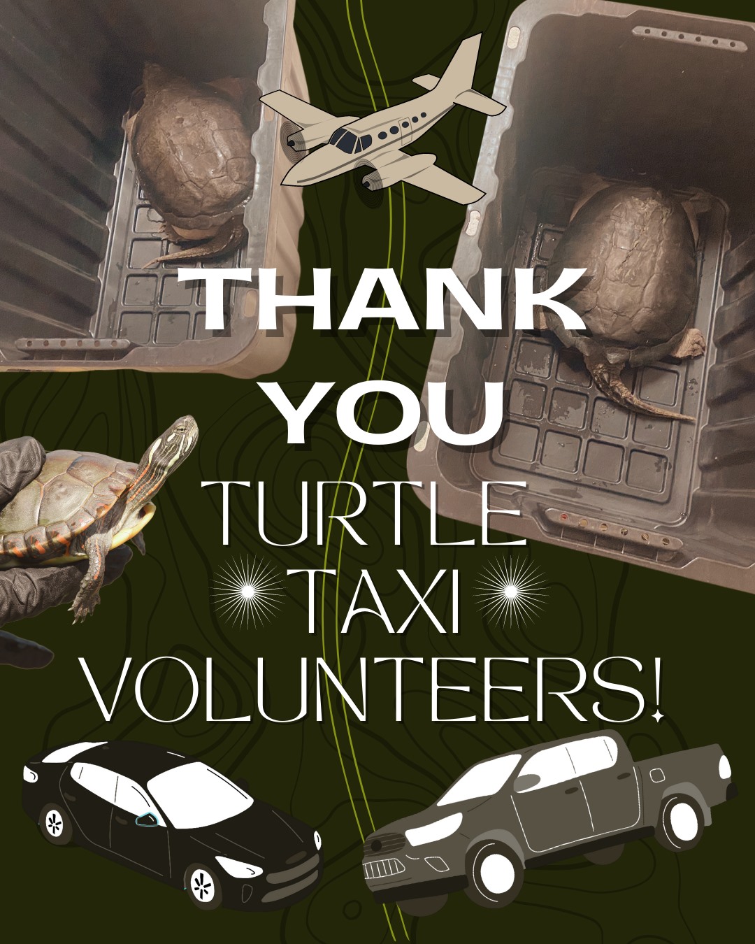 Ontario Turtle Conservation Centre - As intakes have slowed with the ...