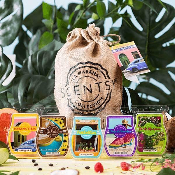 Renee Rutter - Independent Scentsy Consultant