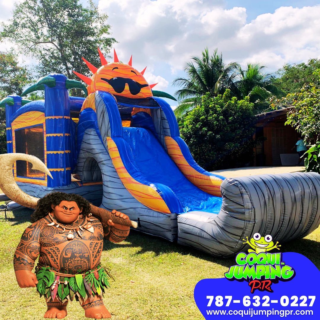 Casas - ¡Celebra un cumpleaños inolvidable con el espíritu de Maui! 🌺🎉💦 ...