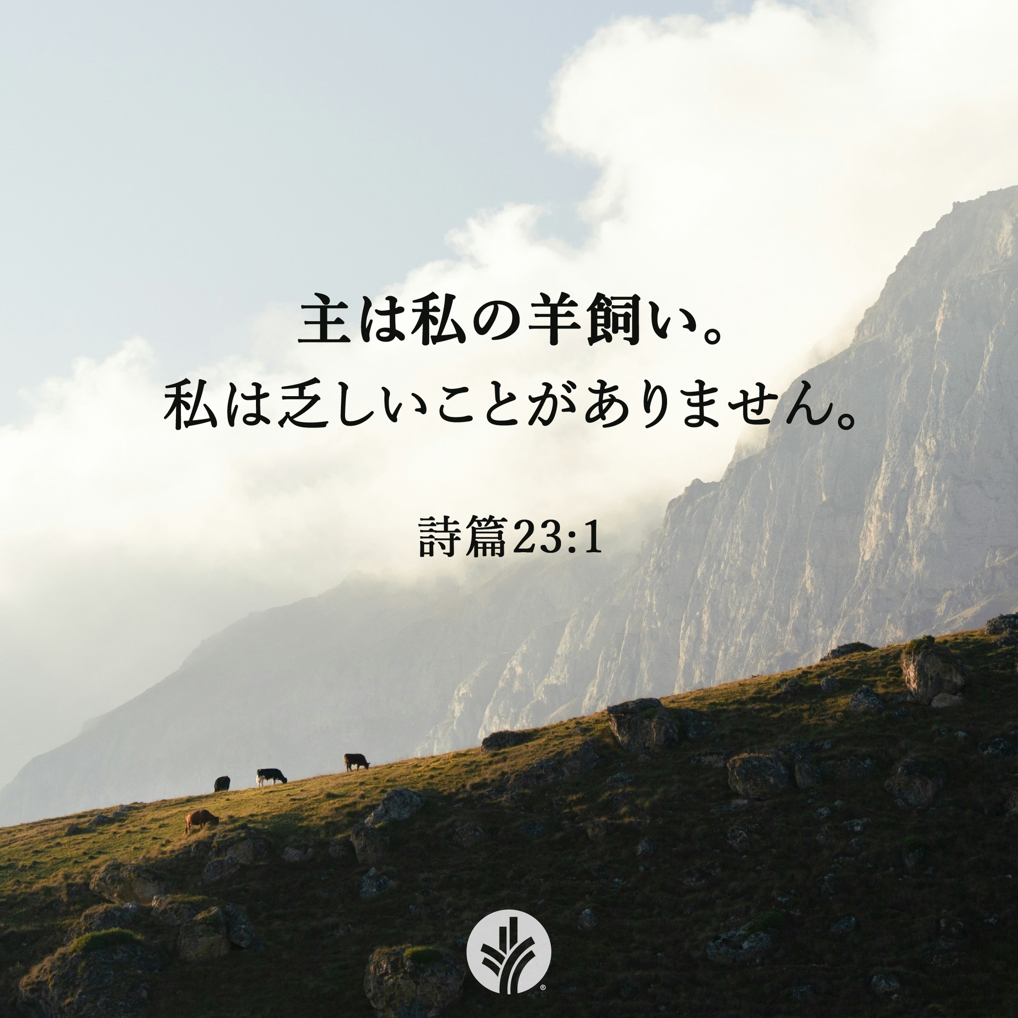 聖書を一緒に読もう！ - マタイの福音書26章 1 イエスはこれらのことを話し終えると、弟子たちに言われました。 2 「あなたがたも知っている ...
