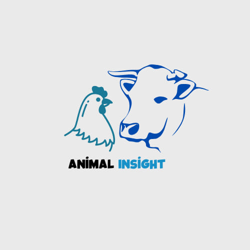 animal insight | Facebook